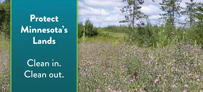 Terrestrial Invasive Species