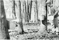 black and white picture of a man surrounded by trees