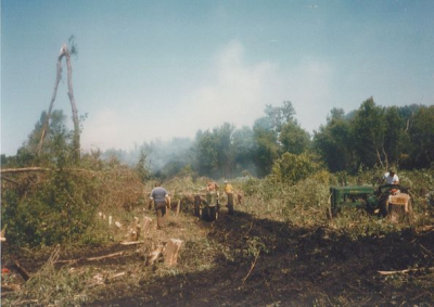 Men moving trees and grass in a forest