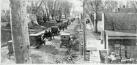 line of horse-drawn carriages