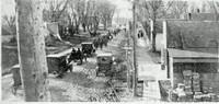 line of horse-drawn carriages