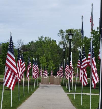 VMP - Flags for Hero's