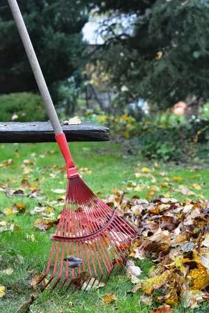 Raking