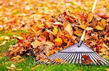 raking leaves